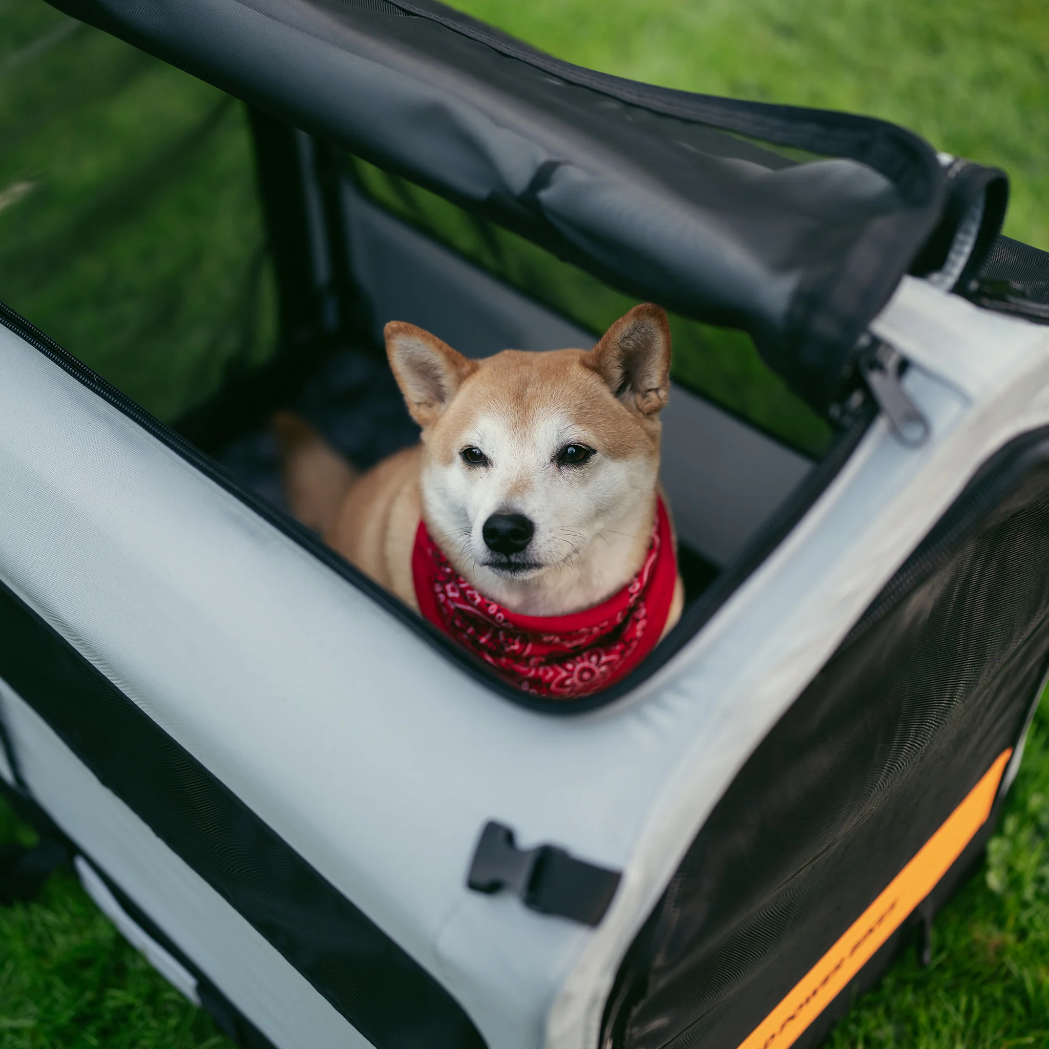 Rad Trailer Pet Insert - Image 10