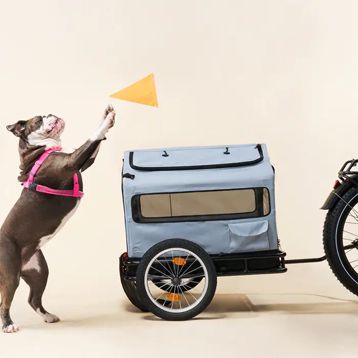 Rad Trailer Pet Insert - Image 7